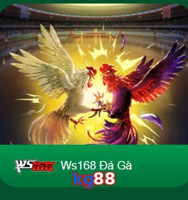 kg88
